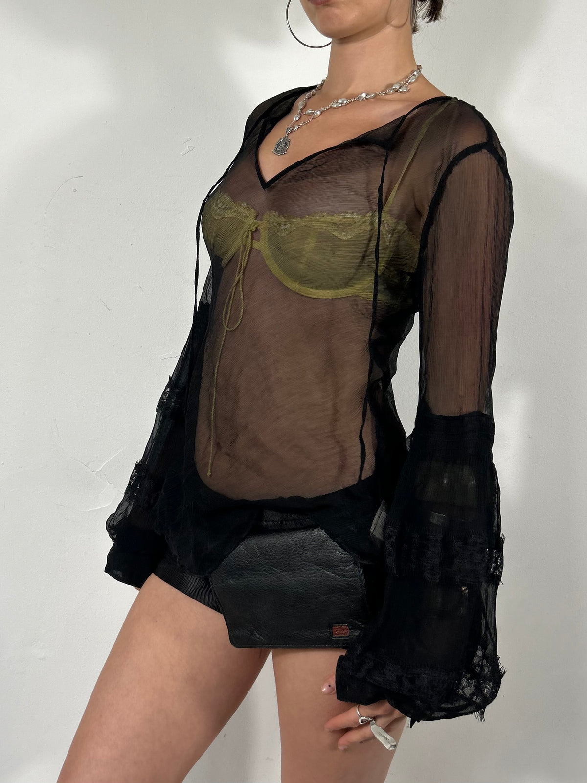 134 Sheer Blouse