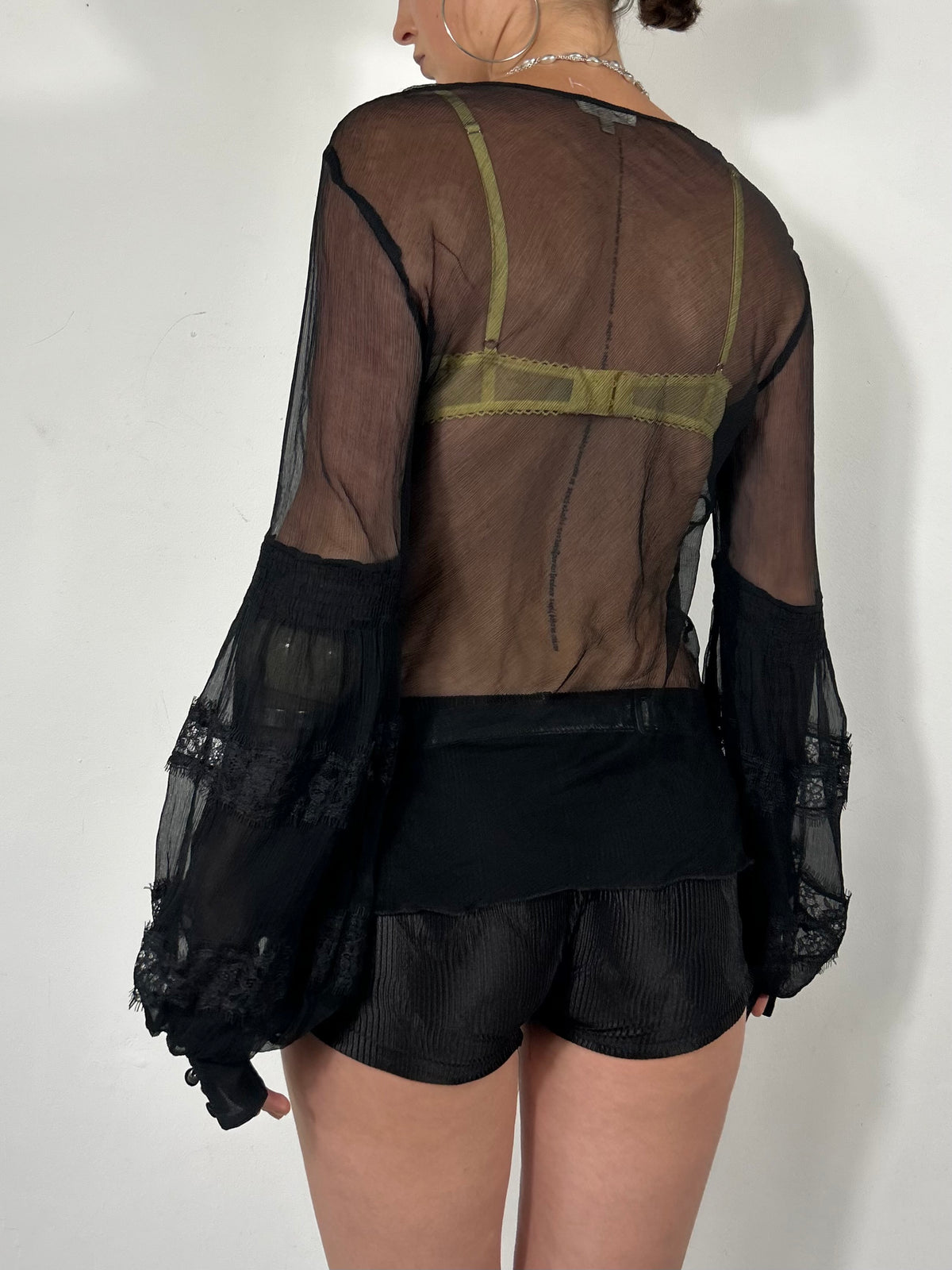 134 Sheer Blouse
